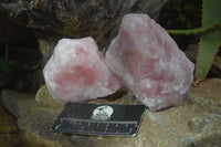 Natural Rough Pink Rose Quartz Specimens  x 4 From Namibia - Toprock Gemstones and Minerals
