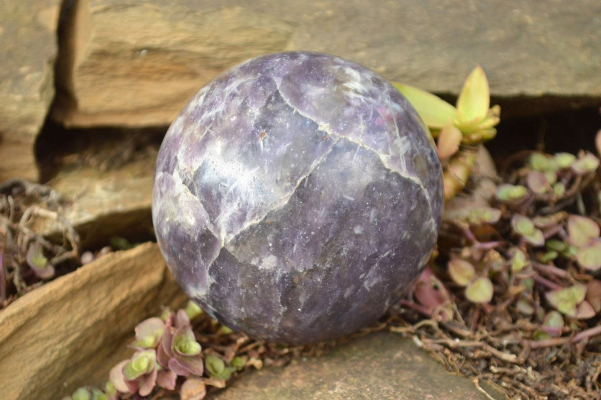 Polished Dark Purple Lepidolite Spheres x 4 From Madagascar - TopRock