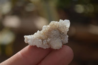 Natural Single White Spirit Quartz Crystals x 70 From Boekenhouthoek, South Africa - Toprock Gemstones and Minerals