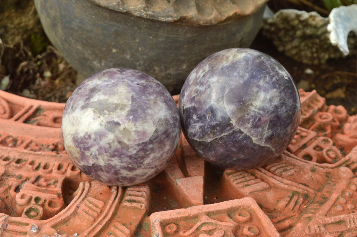 Polished Dark Purple Lepidolite Spheres x 4 From Madagascar - TopRock