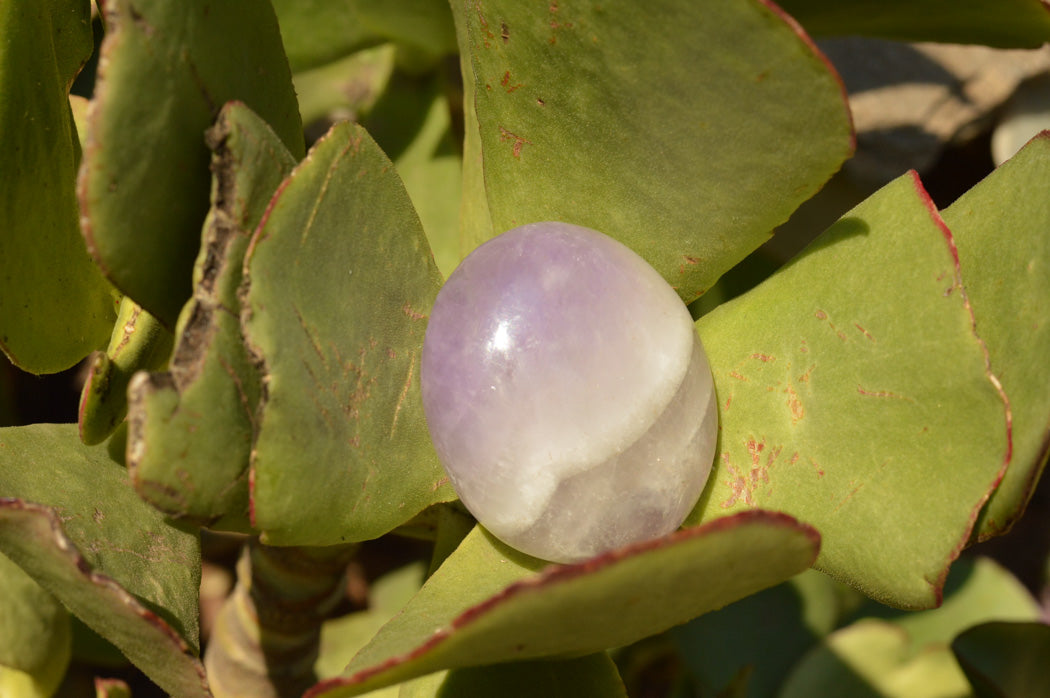 Polished Amethyst Palm Stones With Smokey Patterns x 12 From Madagascar - TopRock