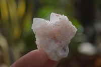 Natural Single White Spirit Quartz Crystals x 70 From Boekenhouthoek, South Africa - Toprock Gemstones and Minerals