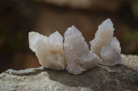 Natural Single White Spirit Quartz Crystals x 70 From Boekenhouthoek, South Africa - Toprock Gemstones and Minerals