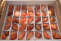 Polished  Small Carnelian Agate Free Forms  x 42 From Madagascar - Toprock Gemstones and Minerals