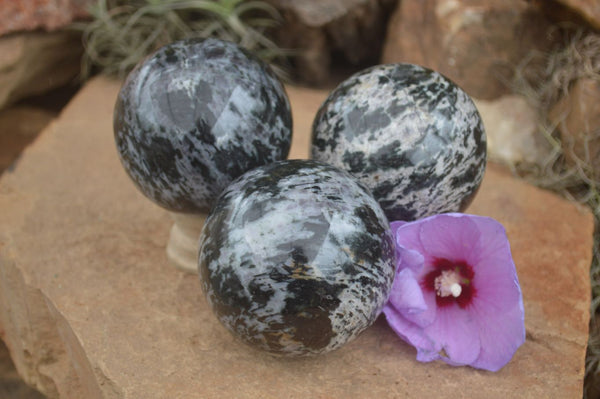 Polished Merlinite Gabbro Spheres  x 3 From Madagascar - TopRock
