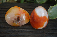 Polished Carnelian Agate Palm Stones  x 6 From Madagascar - Toprock Gemstones and Minerals