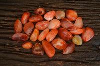 Polished  Small Carnelian Agate Free Forms  x 42 From Madagascar - Toprock Gemstones and Minerals
