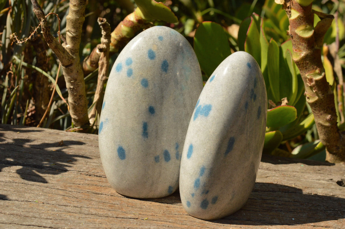 Polished Blue Spotted Spinel / Dalmatian Stone Standing Free Forms x 3 From Madagascar - TopRock