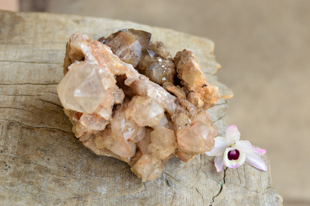 Natural Smokey Phantom Quartz Clusters x 2 From Luena, Congo - TopRock