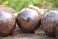 Polished Blood Red Specular Gemmy Garnet Spheres x 4 From Madagascar - TopRock