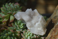 Natural Pale Lilac Spirit Quartz Crystals x 12 From Boekenhouthoek, South Africa - Toprock Gemstones and Minerals