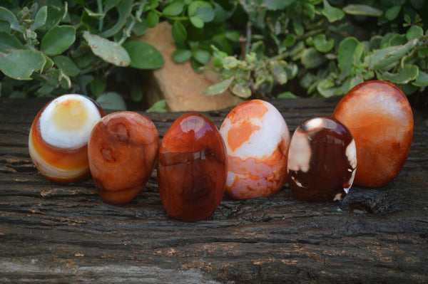 Polished Carnelian Agate Standing Free Forms  x 6 From Madagascar - Toprock Gemstones and Minerals 