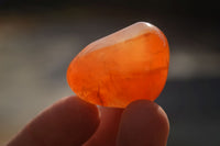 Polished  Small Carnelian Agate Free Forms  x 42 From Madagascar - Toprock Gemstones and Minerals