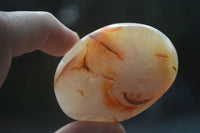 Polished Carnelian Agate Palm Stones  x 6 From Madagascar - Toprock Gemstones and Minerals