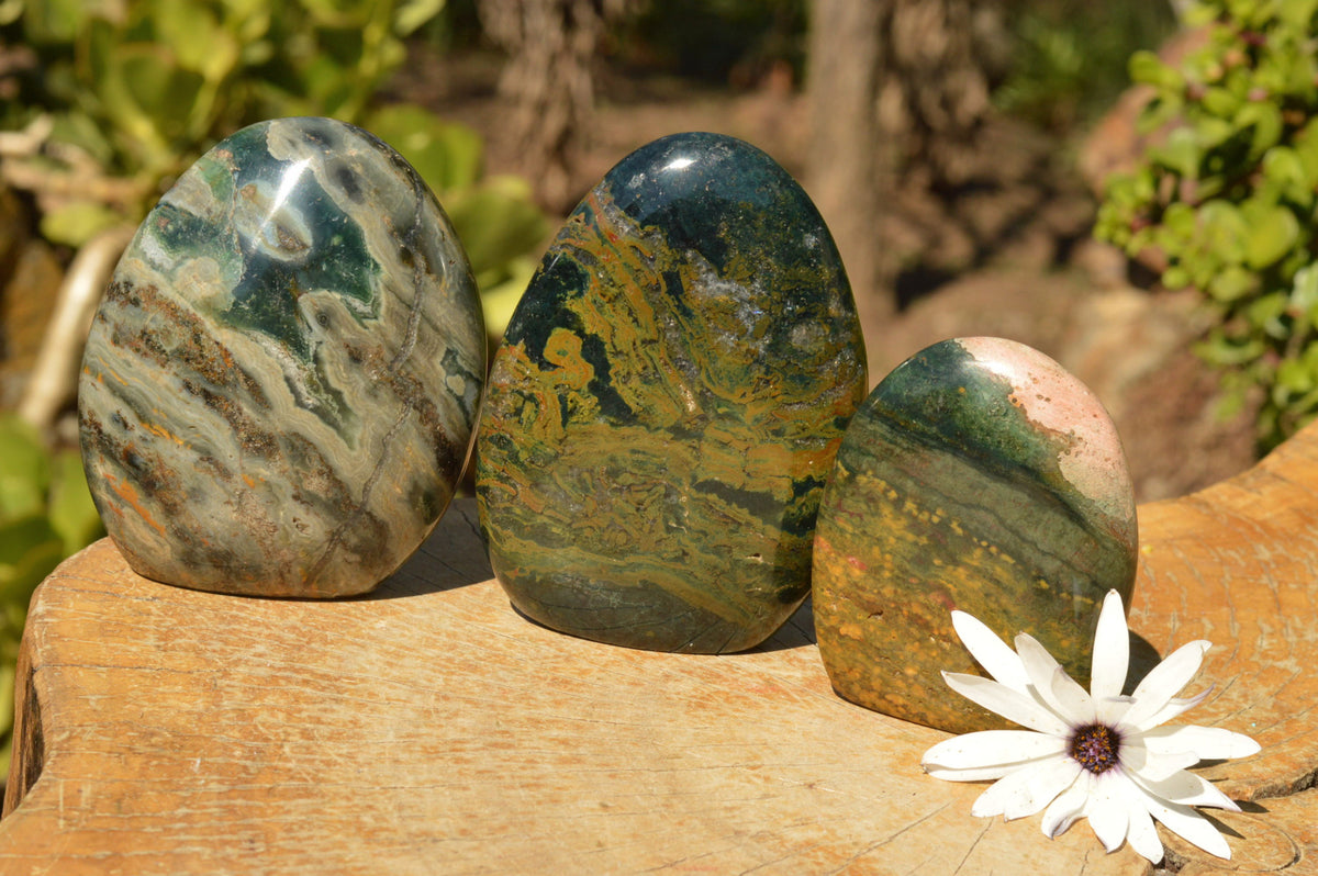Polished Stunning Ocean Jasper Standing Free Forms With Orbicular Patterns x 3 From Madagascar - TopRock