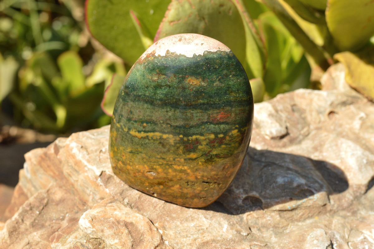 Polished Stunning Ocean Jasper Standing Free Forms With Orbicular Patterns x 3 From Madagascar - TopRock