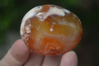 Polished Carnelian Agate Palm Stones  x 6 From Madagascar - Toprock Gemstones and Minerals