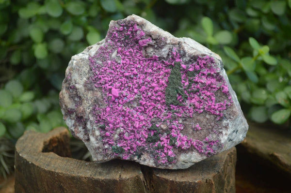 Natural Extra Large Bright Pink Salrose Cobaltion Dolomite Specimen  x 1 From Kakanda, Congo - Toprock Gemstones and Minerals 