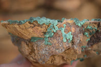 Natural Rare Ball Malachite On Drusy Quartz & Dolomite Matrix  x 2 From Kambove, Congo - Toprock Gemstones and Minerals