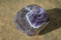 Polished Chevron Amethyst Point x 1 From Zambia - Toprock Gemstones and Minerals