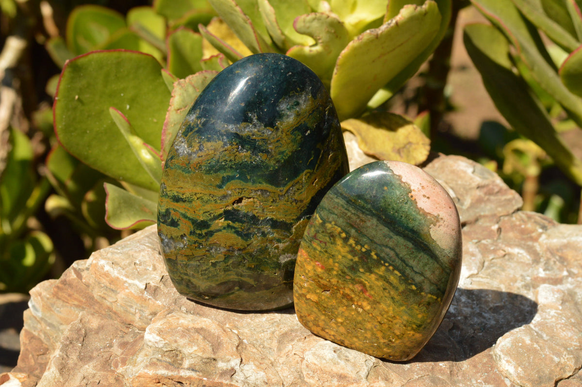 Polished Stunning Ocean Jasper Standing Free Forms With Orbicular Patterns x 3 From Madagascar - TopRock