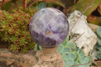 Polished Amethyst Spheres  x 2 From Madagascar - TopRock