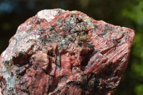 Natural Pink Cobbed Rhodonite Pieces (Medium Sized) x 3 From Rushinga, Zimbabwe - TopRock