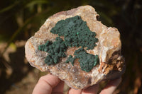 Natural Rare Ball Malachite On Drusy Quartz & Dolomite Matrix  x 2 From Kambove, Congo - Toprock Gemstones and Minerals