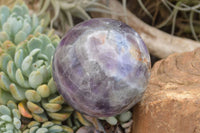 Polished Amethyst Spheres  x 2 From Madagascar - TopRock