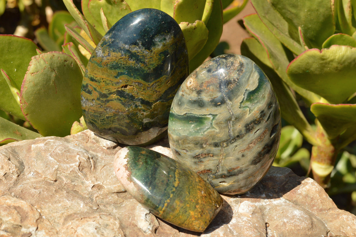 Polished Stunning Ocean Jasper Standing Free Forms With Orbicular Patterns x 3 From Madagascar - TopRock