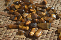 Polished Mini Craft Golden Tigers Eye Tumble Stones - Sold per 500 g - From Prieska, South Africa - Toprock Gemstones and Minerals