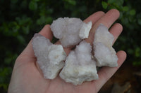 Natural Pale Lilac Spirit Quartz Clusters x 12 From Boekenhouthoek, South Africa - Toprock Gemstones and Minerals
