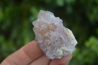 Natural Spirit Amethyst Quartz Clusters  x 12 From Boekenhouthoek, South Africa - Toprock Gemstones and Minerals