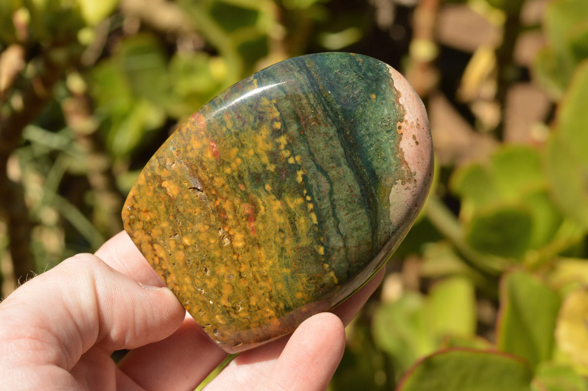 Polished Stunning Ocean Jasper Standing Free Forms With Orbicular Patterns x 3 From Madagascar - TopRock