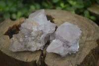 Natural Spirit Amethyst Quartz Clusters  x 12 From Boekenhouthoek, South Africa - Toprock Gemstones and Minerals