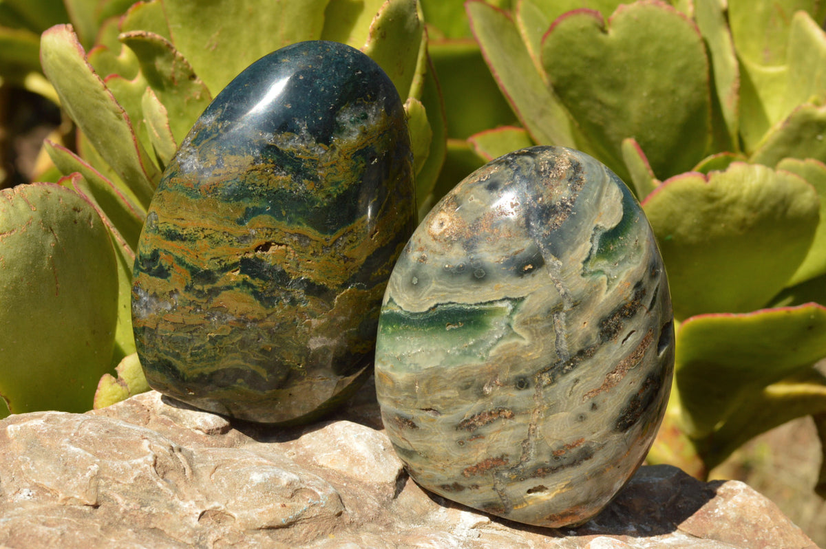 Polished Stunning Ocean Jasper Standing Free Forms With Orbicular Patterns x 3 From Madagascar - TopRock