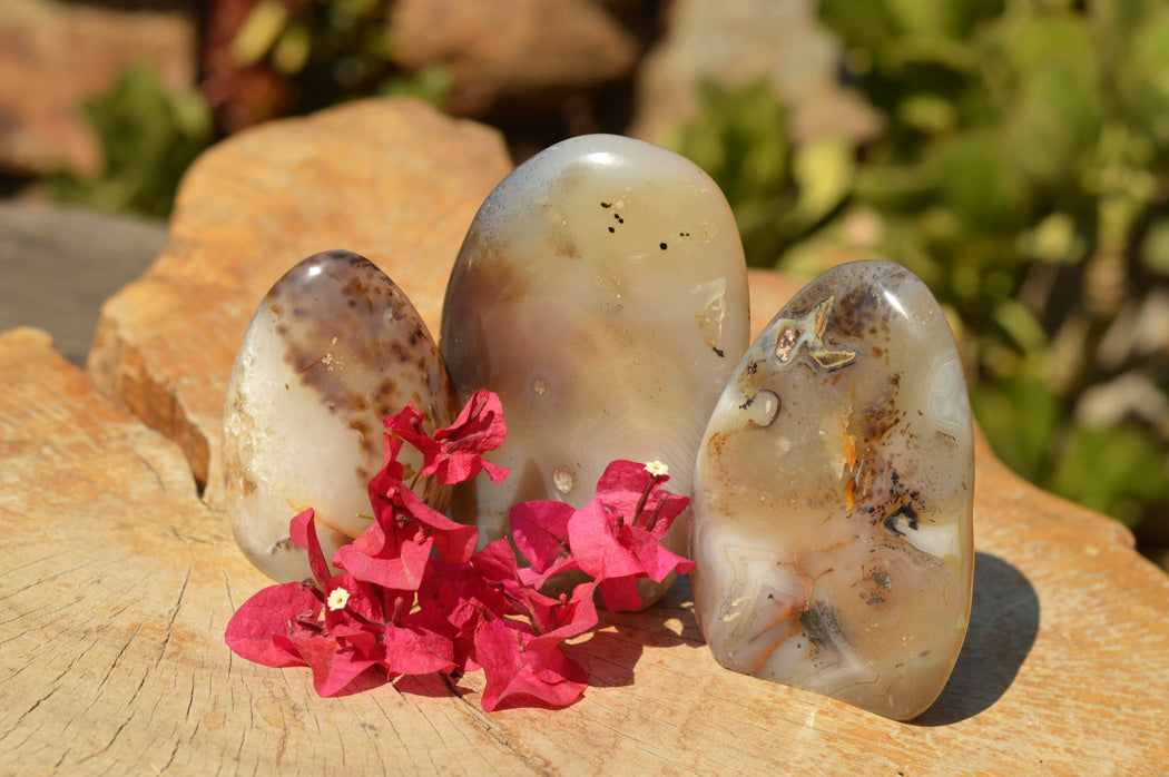 Polished Banded Dendritic Agate Standing Free Forms x 3 From Moralambo, Madagascar - TopRock