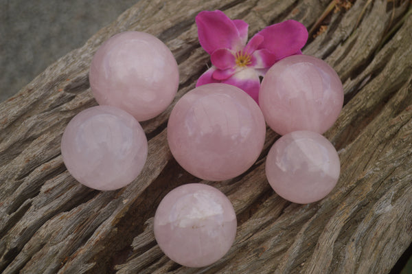Polished Gemmy Pink Rose Quartz Spheres  x 6 From Ambatondrazaka, Madagascar - TopRock