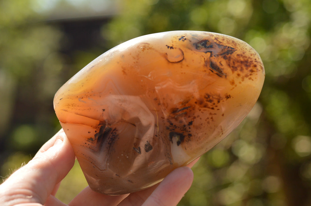 Polished Banded Dendritic Agate Standing Free Forms x 3 From Moralambo, Madagascar - TopRock