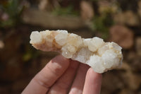 Natural Mixed Spirit Quartz Specimens x 24 From Boekenhouthoek, South Africa - Toprock Gemstones and Minerals