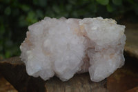 Natural Large White Cactus Flower Spirit Quartz Clusters  x 3 From Boekenhouthoek, South Africa - Toprock Gemstones and Minerals