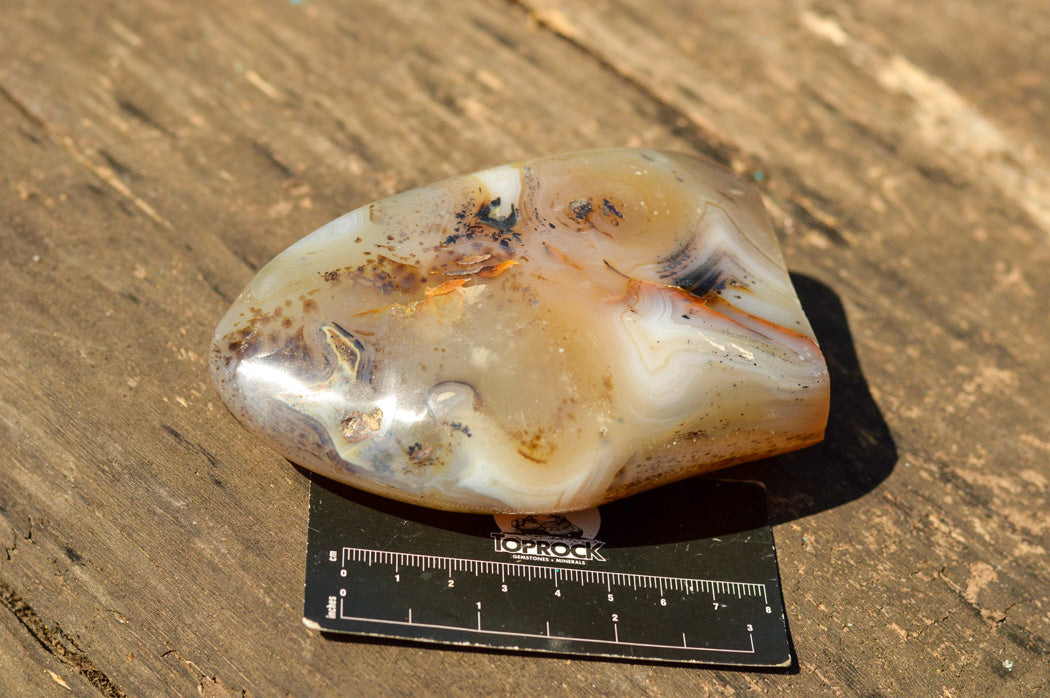 Polished Banded Dendritic Agate Standing Free Forms x 3 From Moralambo, Madagascar - TopRock
