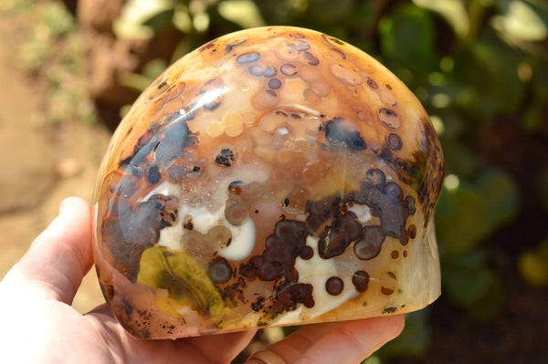 Polished Half Polished Dendritic Agate Standing Free Forms  x 3 From Moralambo, Madagascar - TopRock