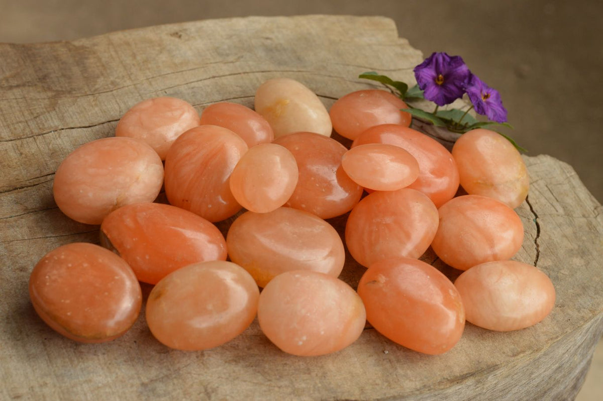 Polished Killer Bright Orange Twist Calcite Palm Stones x 12 From Madagascar - TopRock