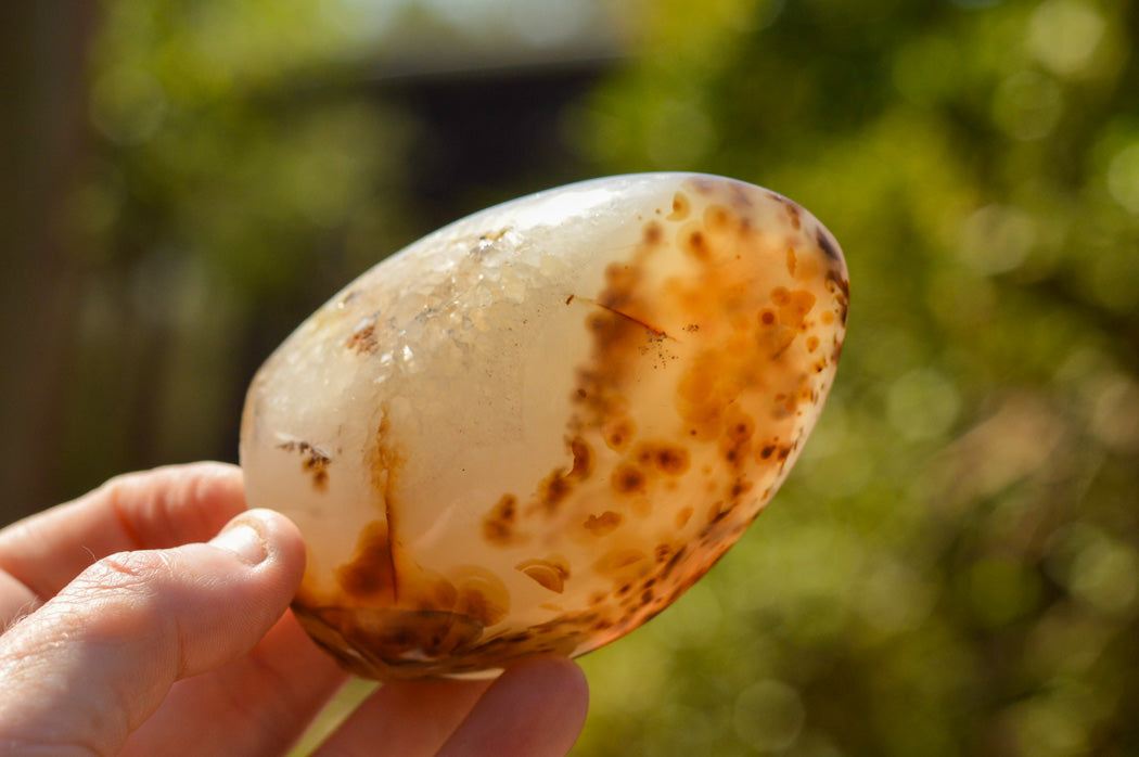 Polished Banded Dendritic Agate Standing Free Forms x 3 From Moralambo, Madagascar - TopRock