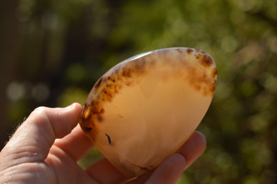 Polished Banded Dendritic Agate Standing Free Forms x 3 From Moralambo, Madagascar - TopRock