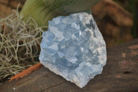 Natural Blue Celestite Crystal Specimens  x 3 From Sakoany, Madagascar - Toprock Gemstones and Minerals