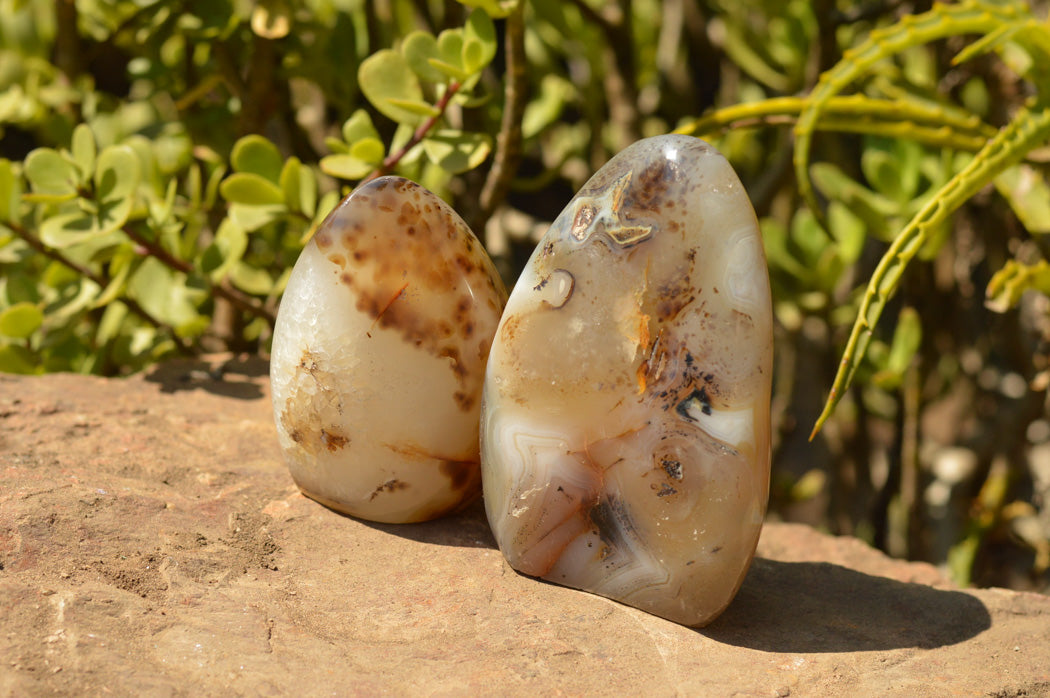 Polished Banded Dendritic Agate Standing Free Forms x 3 From Moralambo, Madagascar - TopRock
