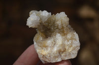 Natural Mixed Spirit Quartz Specimens x 24 From Boekenhouthoek, South Africa - Toprock Gemstones and Minerals