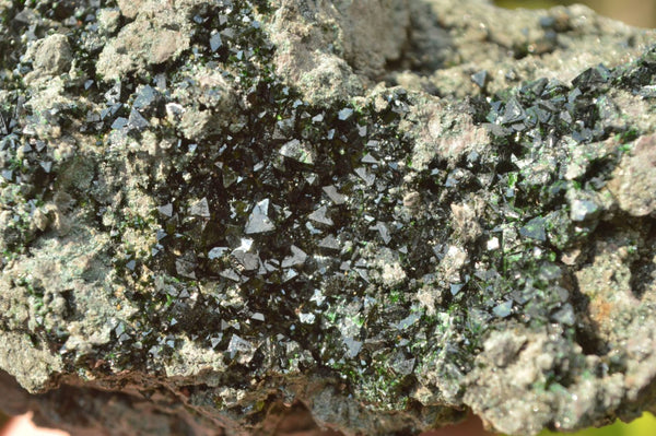 Natural Rare Copper Phosphate Libethenite On Dolomite Clusters x 2 From Shituru, Congo - TopRock